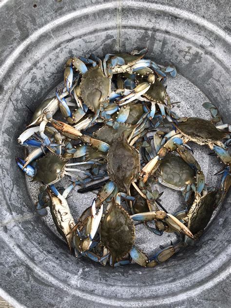 Forever Across The Marsh