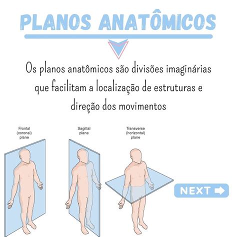 Planos anatômicos Como estudar anatomia Anatomia ossea Curso