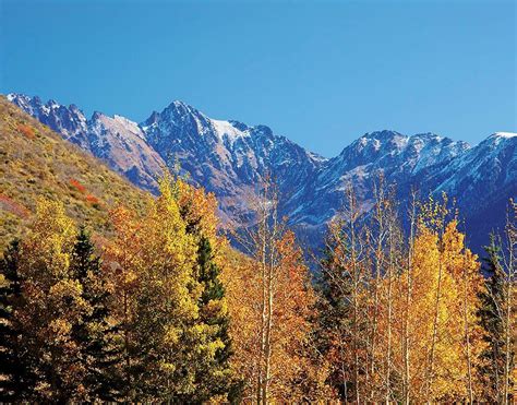 vail road vail   vail luxury real estate vacation rentals