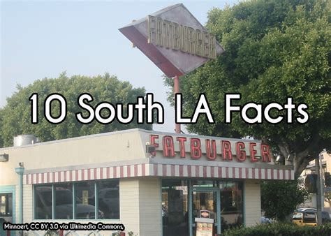 10 Facts About South LA You Don’t Know - The South LA Recap