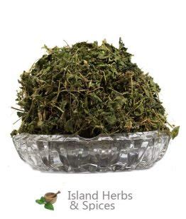 Medina Jamaican Herb Alysicarpus Vaginalis Organic Island Herbs