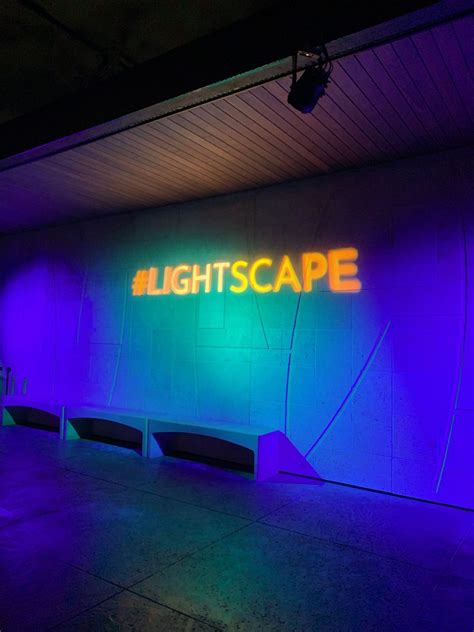 Lightscape at the Houston Botanic Garden: Everything You Need to Know ...