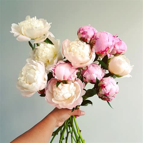 Gigantic Peony bouquet - Lou Flower Studio