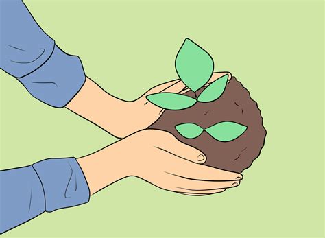 How To Plant A Tree The Right Way A Step By Step Guide