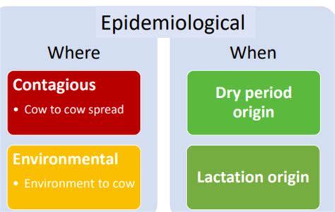 Bovine Udder Health Flashcards Quizlet