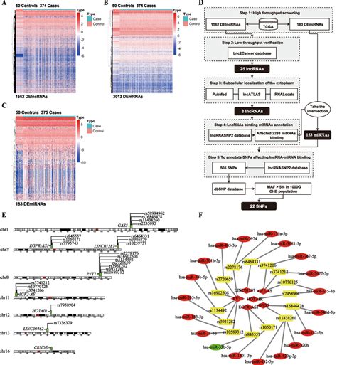 Screening Results Of Lncrna Related Snps A Clustering Heatmap Of