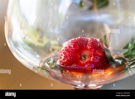 Juicy Red Strawberry And Mint Leaves At The Bottom Of An Empty Cocktail Glass Closeup Stock