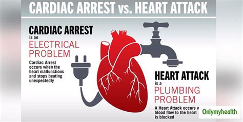 Why Does Cardiac Arrest Happen Explains Cardiologist Dr Dora In Detail Onlymyhealth