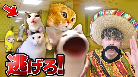 『猫ミーム』から逃げろ！恐ろしいミームたちが追いかけてくる世界がヤバかった！【ロブロックスroblox】 Youtube