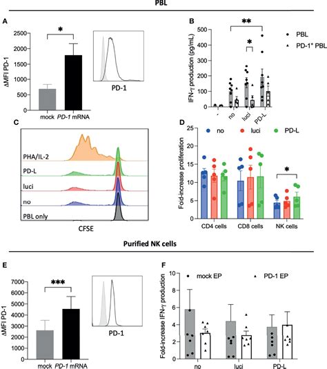 Frontiers Anti Tumor Potency Of Short Term Interleukin Dendritic