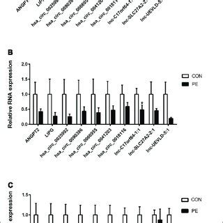 Validation Of DERNA Expression By QRT PCR Differentially Expressed