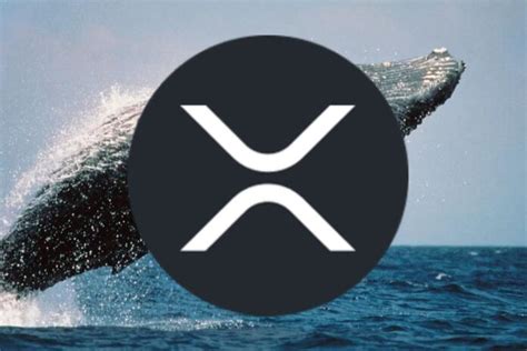 Xrp Holds Strong As Whale Moves Million Xrp To Bitstamp Before Ftx