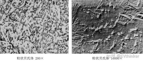 奥氏体、铁素体、珠光体、贝氏体和马氏体，一文搞懂金相知识大全 知乎