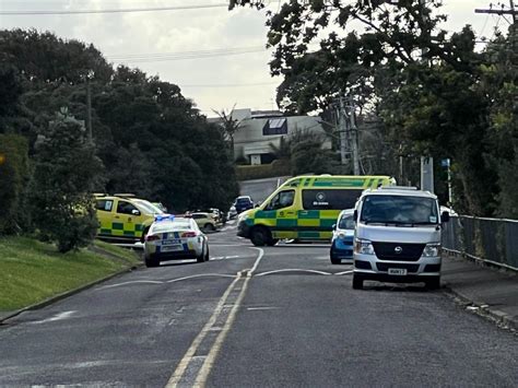 Armed Police Swarm Aucklands Hillsborough After Person In Fleeing