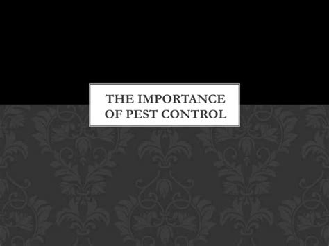 The Importance Of Pest Control Ppt