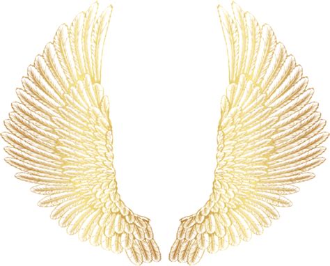 Free Png Download Gold Wings Clipart Png Photo Png Golden Wings Png