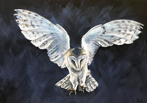 Barn Owl In Flight Painting By Paul Hardern Fine Art America