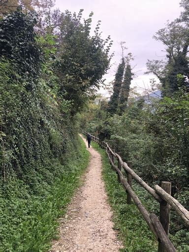 Sito Ufficiale Terre Del Vescovado Cammino Del Vescovado VERSIONE