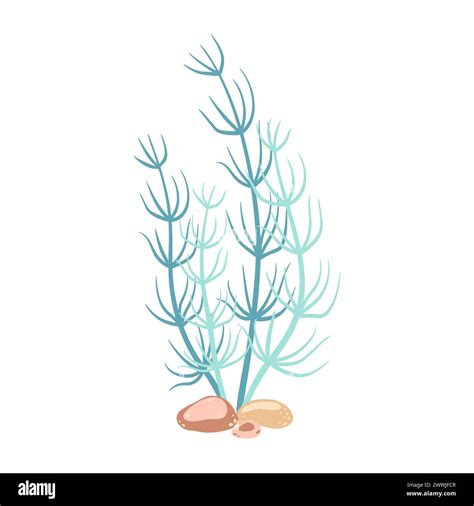 Seaweed Hand Drawn Algae Colorful Seaweed Underwater Plants Modern