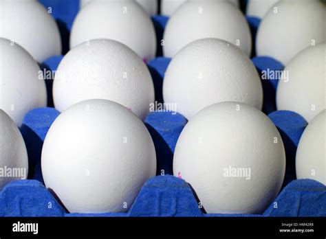 Egg Carton Farm Hi Res Stock Photography And Images Alamy