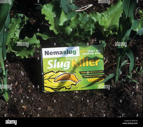 Nematode Biological Control Hi Res Stock Photography And Images Alamy