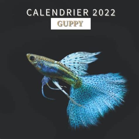 Calendrier 2022 Guppy Mensuel de Janvier à Décembre 2022 Calendrier