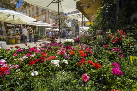 Turismo Ayuntamiento de Cádiz Plaza de las Flores