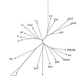 Dendrogram Obtained From A Neighbour Joining Analysis Performed On Rapd