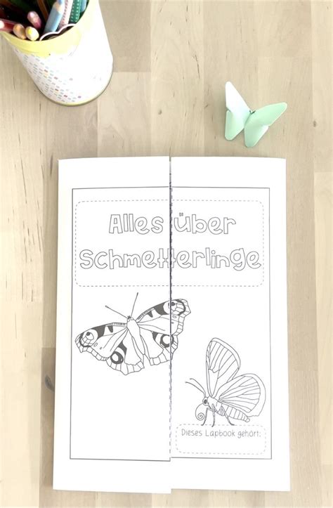 Lapbook Schmetterlinge Unterrichtsmaterial in den Fächern Deutsch