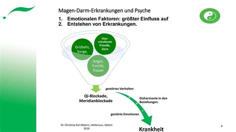 Magen Darm Erkrankungen Und Psyche Ppt Herunterladen