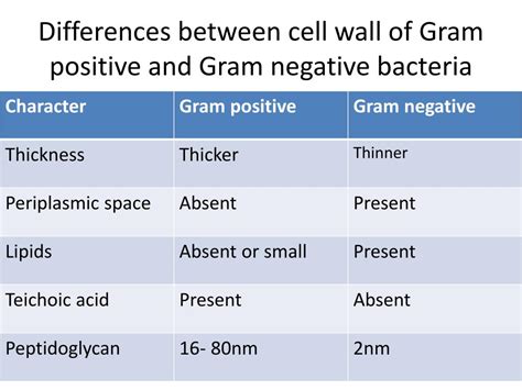 Gram Positive And Gram Negative Cell Wall