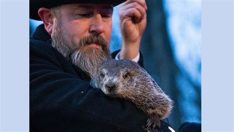 Punxsutawney Phil Predicts Early Spring In Groundhog Day Rarity Near