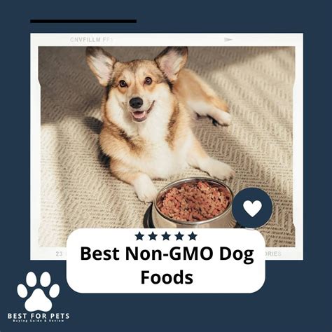 The 10 Best Non Gmo Dog Foods