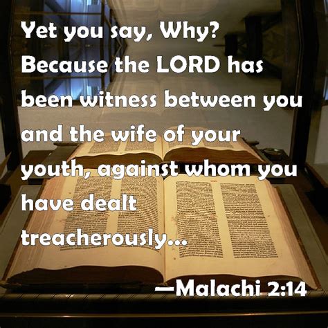 Malachi 2:14 Yet you say, Why? Because the LORD has been witness between you and the wife of ...