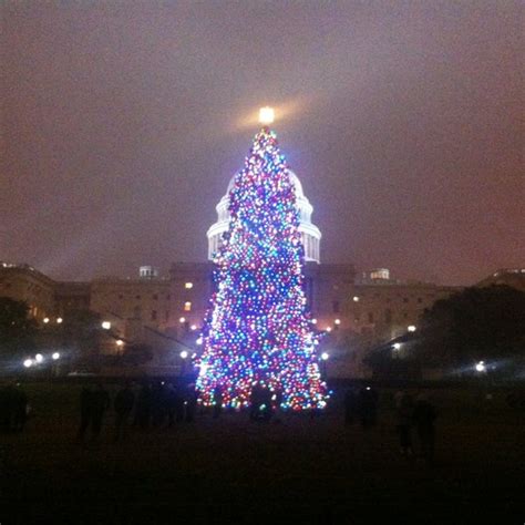 Capitol Christmas Tree Northwest Washington Constitution Ave Nw