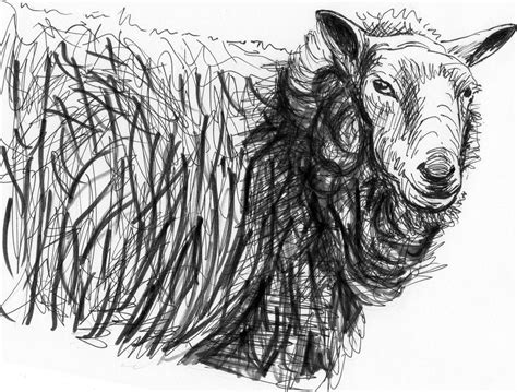 Henry Moore Sheep Vi By 101gleek101 On Deviantart