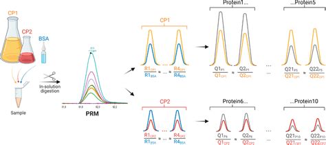 Fastcat Accelerates Absolute Quantification Of Proteins Using Multiple