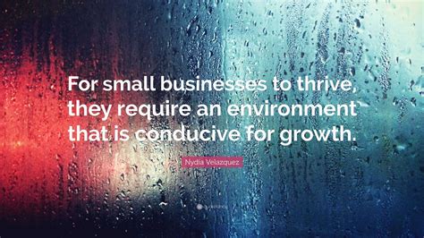 Nydia Velazquez Quote: “For small businesses to thrive, they require an