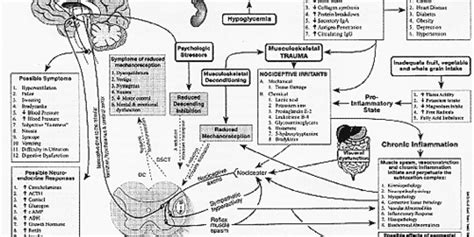 Subluxation: Causes and Effects | Dynamic Chiropractic