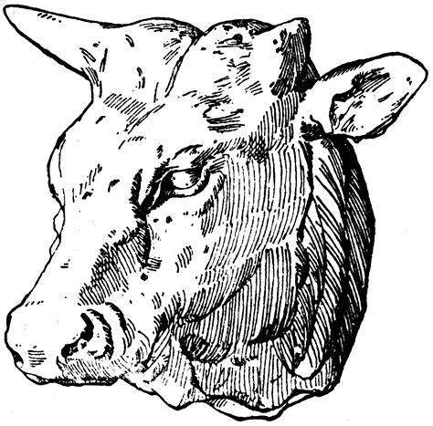 ox head clipart