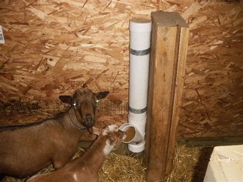 Mineral Feeder For Goats Small Farm Animals - FREE PLANS – My Alaskan ...