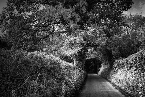 Tony Eveling Photography Gallery Photography Gallery Road Isle Of Wight