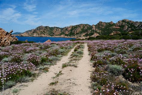 Veduta Della Costa Tra Li Cossi E Cala Tinnai Stock Foto Adobe Stock