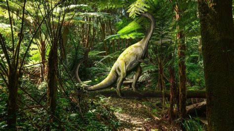 Six Little-Known Herbivorous Dinosaurs | Only Dinosaurs