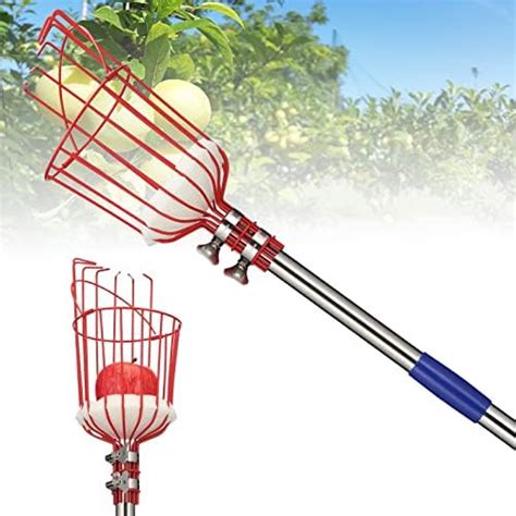 Amazon BsBsBest Fruit Picker Pole With Basket Telescoping Fruit