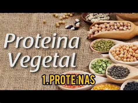 Spirulina Dxn Beneficios De La Spirulina Cereal Dxn Nutrici N