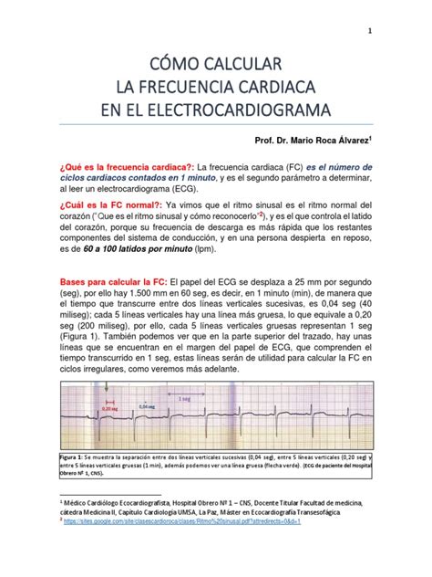 Como Calcular Frecuencia Cardiaca En Ecg Pdf Electrocardiografia Corazón