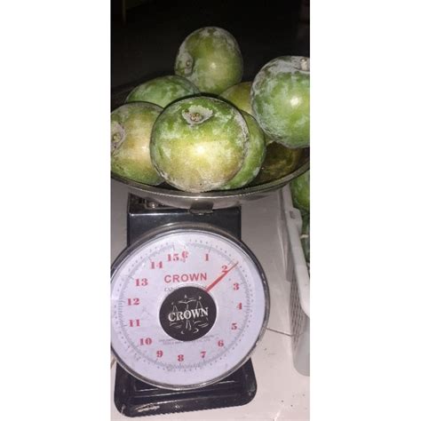 Jual Buah Mangga Apel Freshrujak Buah 1 Kg Shopee Indonesia