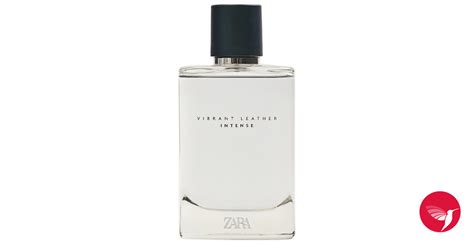 Vibrant Leather Intense Zara Cologne Un Parfum Pour Homme