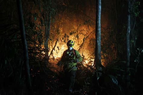 Santa Cruz Reporta Millones De Hect Reas Arrasadas Por Los Incendios